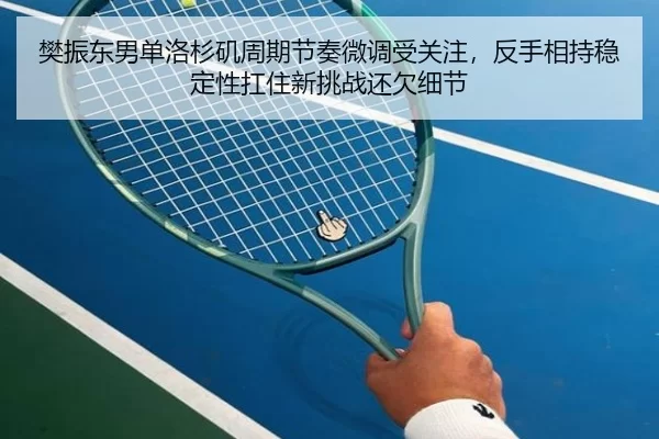 樊振东男单洛杉矶周期节奏微调受关注，反手相持稳定性扛住新挑战还欠细节